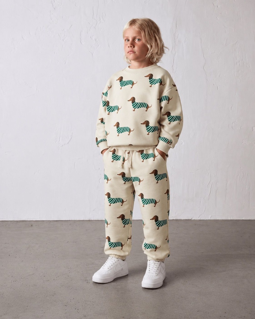 Dog beige set (2-3Y)